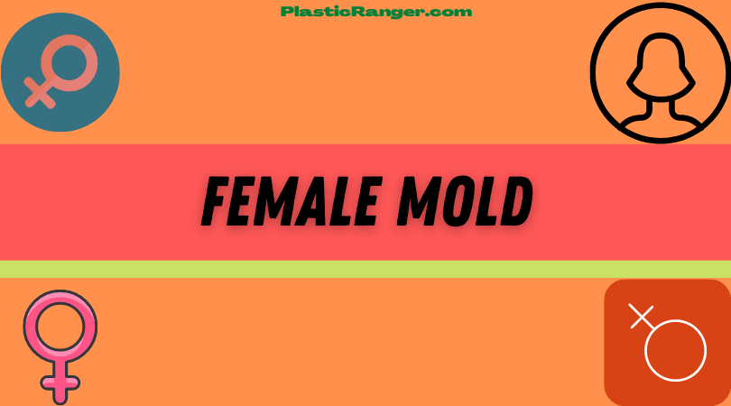 Plastic Molds: male vs female mold 