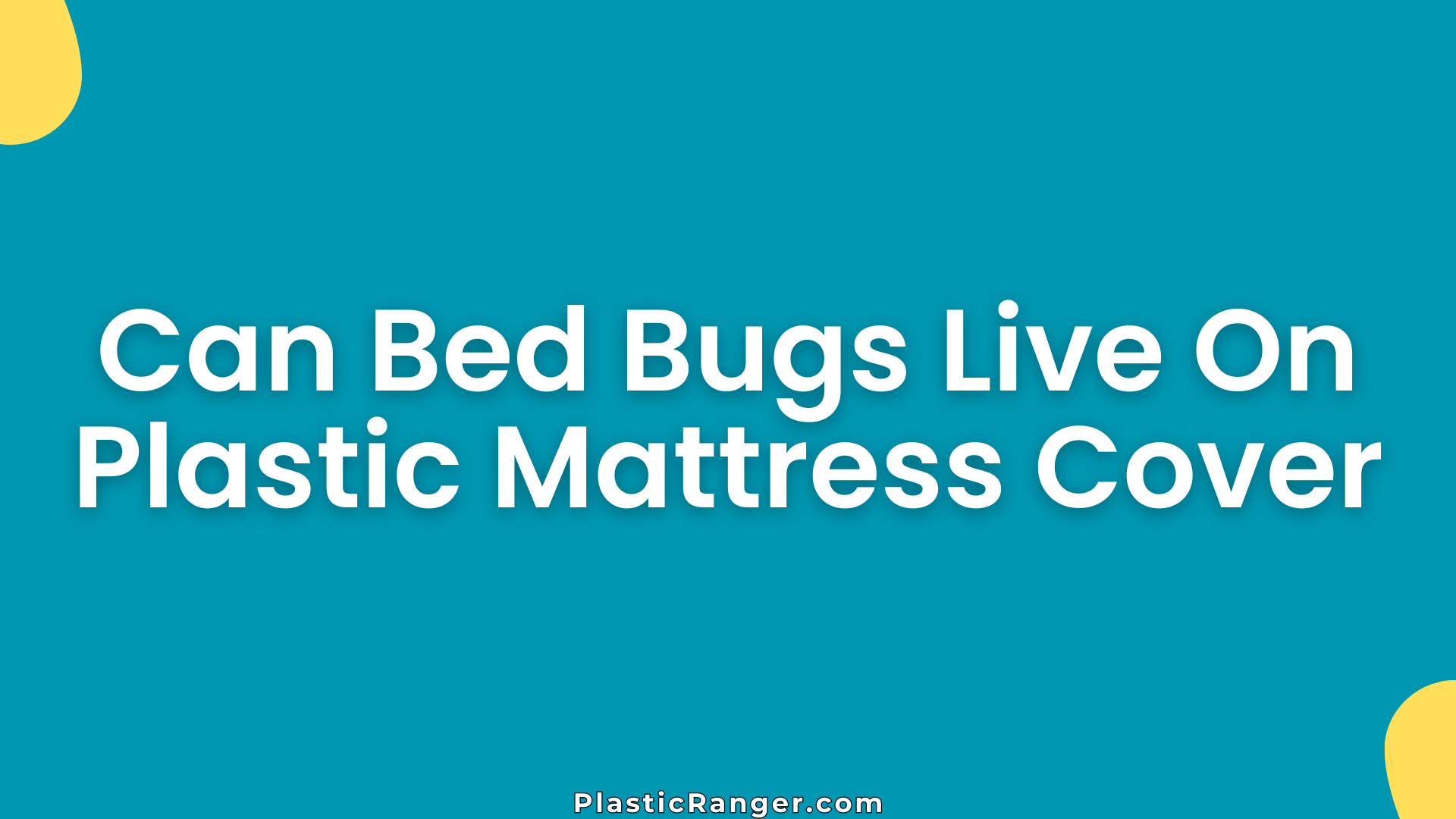 Can Bed Bugs Live On Plastic Mattress Cover