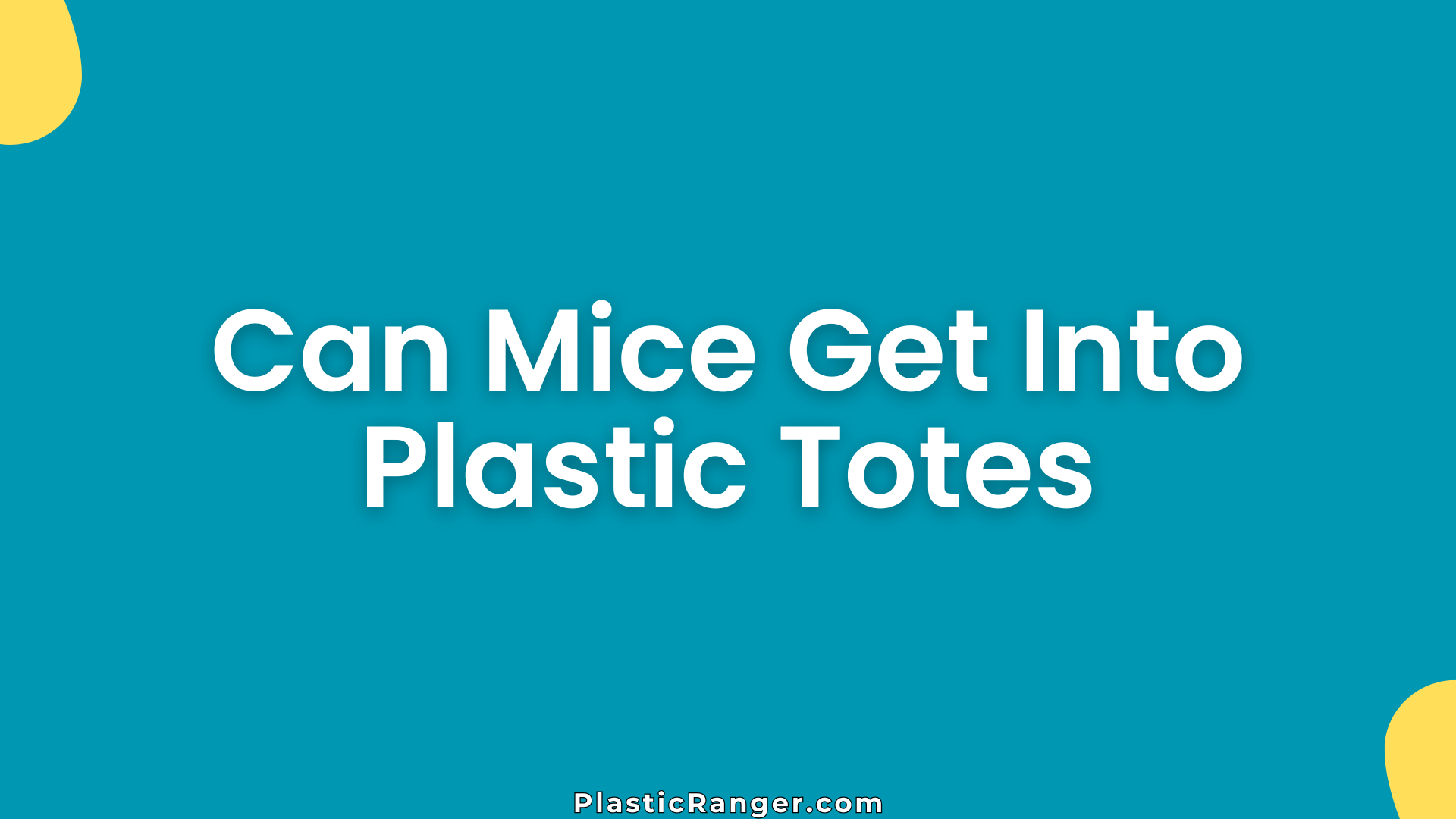 Can Mice Get Into Plastic Totes