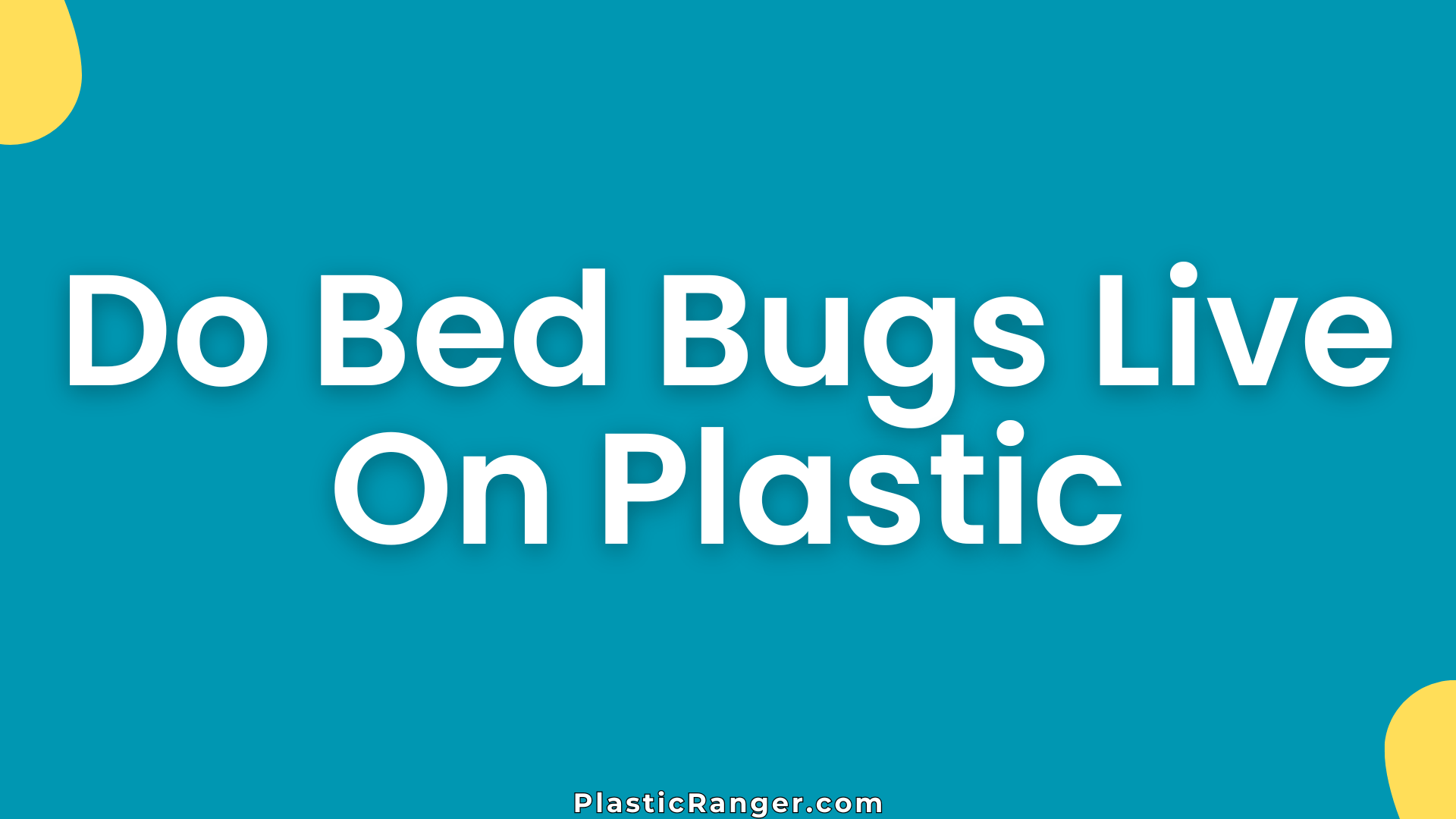 Do Bed Bugs Live On Plastic