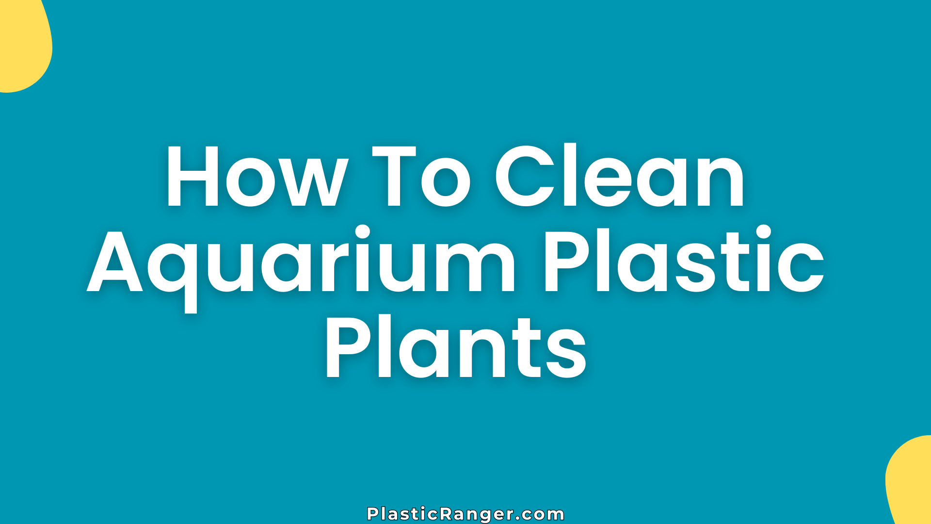 How To Clean Aquarium Plastic Plants