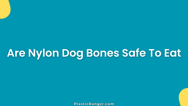 Are Nylon Dog Bones Safe To Eat