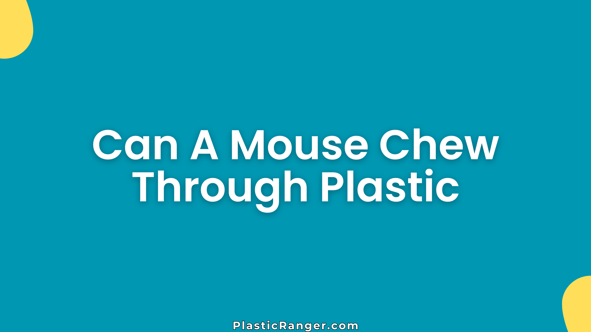 Can A Mouse Chew Through Plastic
