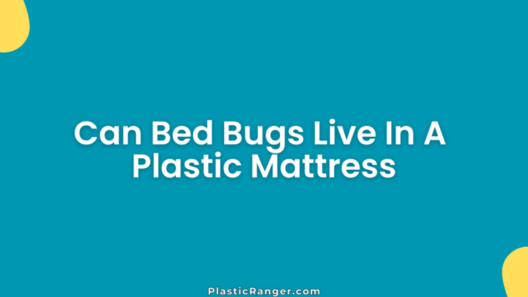 Can Bed Bugs Live In A Plastic Mattress
