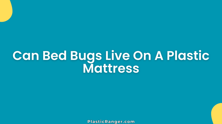 Can Bed Bugs Live On A Plastic Mattress