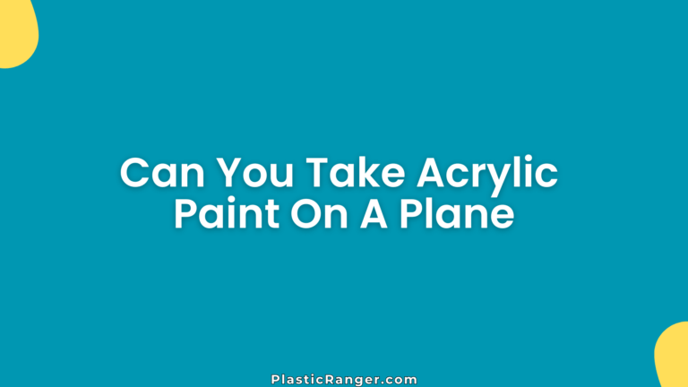 Can You Take Acrylic Paint On A Plane