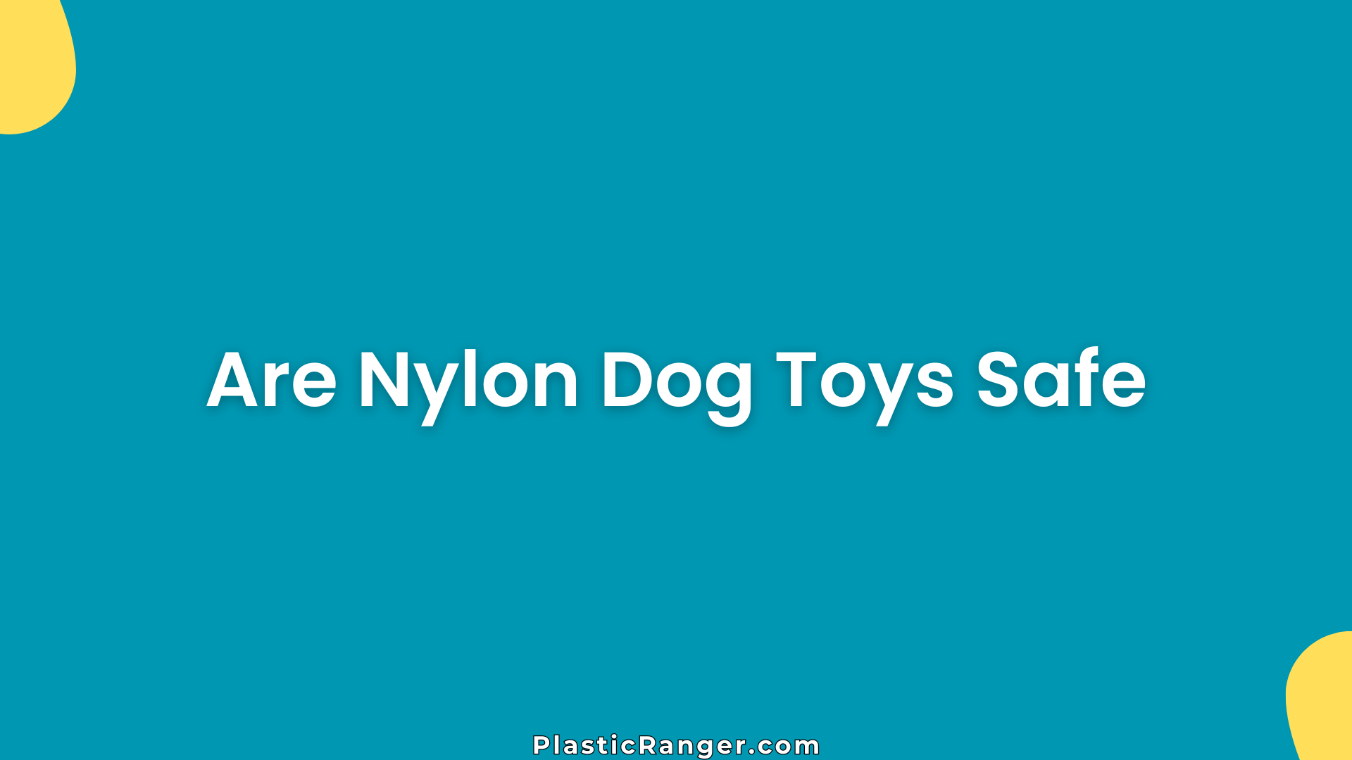 Are Nylon Dog Toys Safe