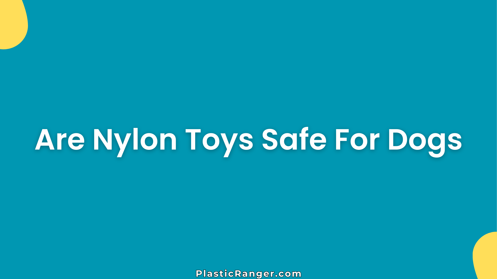 Are Nylon Toys Safe For Dogs