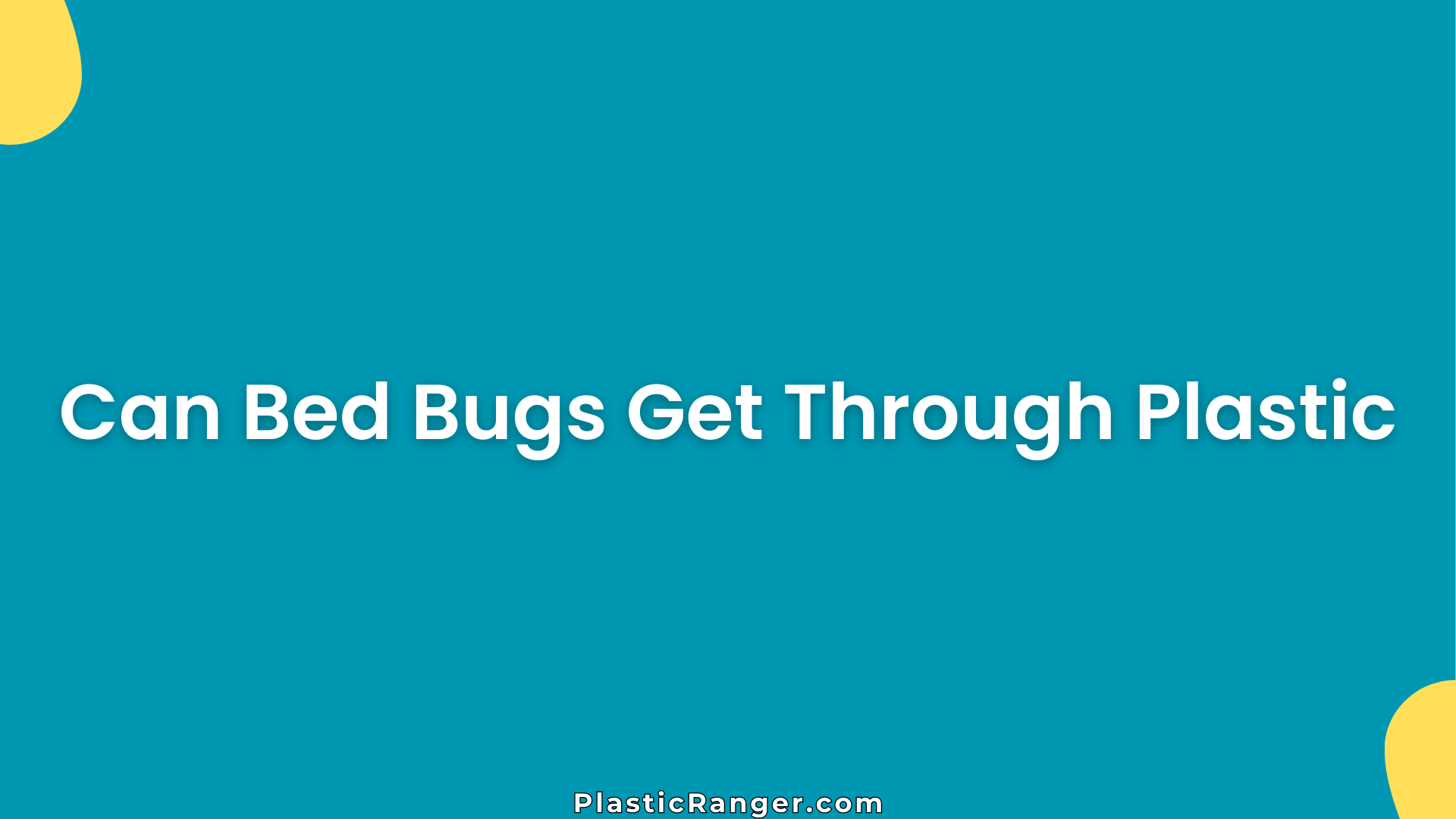 Can Bed Bugs Get Through Plastic