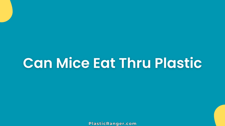 Can Mice Eat Thru Plastic