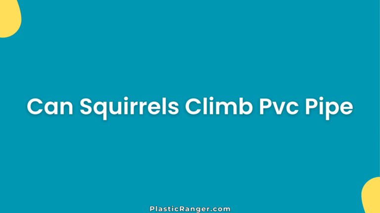 Can Squirrels Climb Pvc Pipe