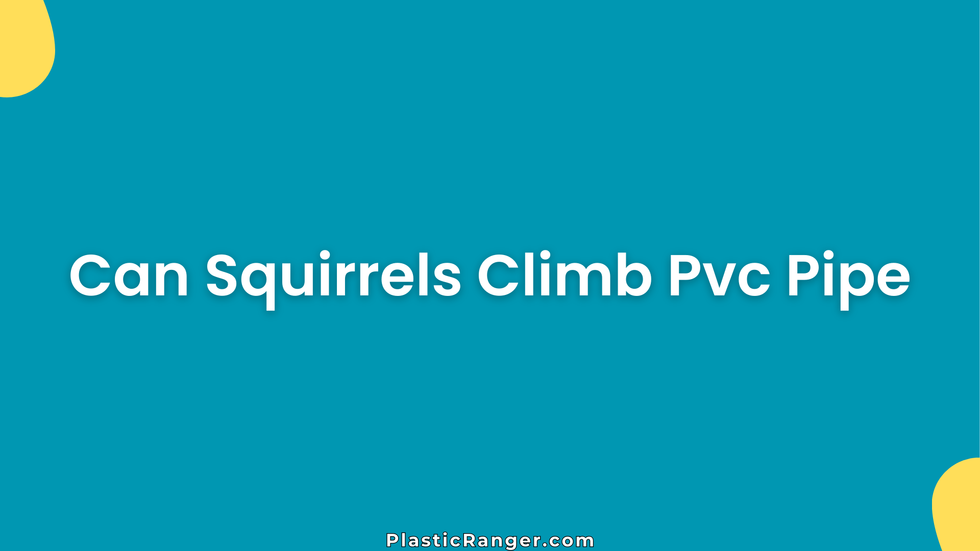 Can Squirrels Climb Pvc Pipe