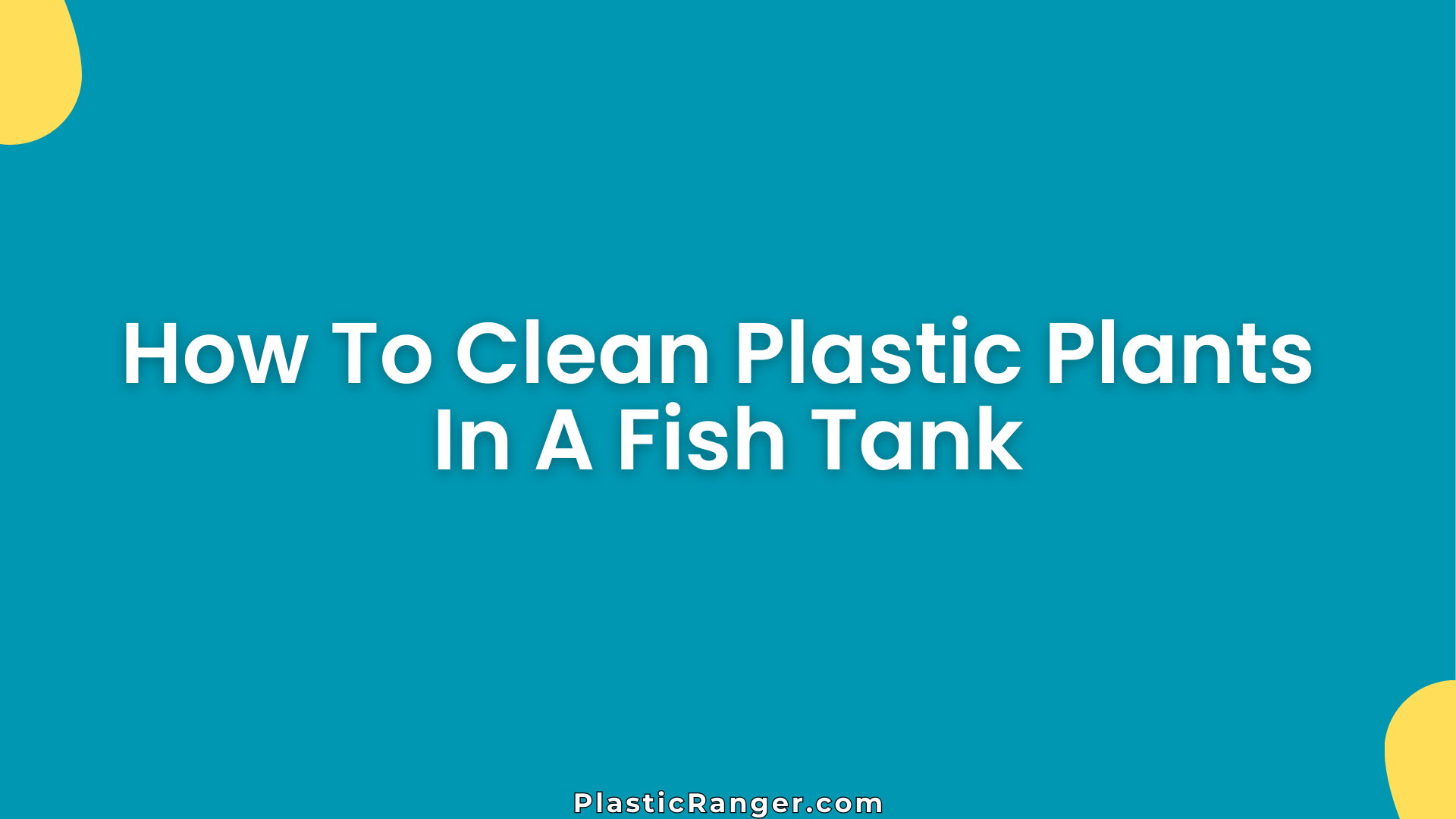 How To Clean Plastic Plants In A Fish Tank