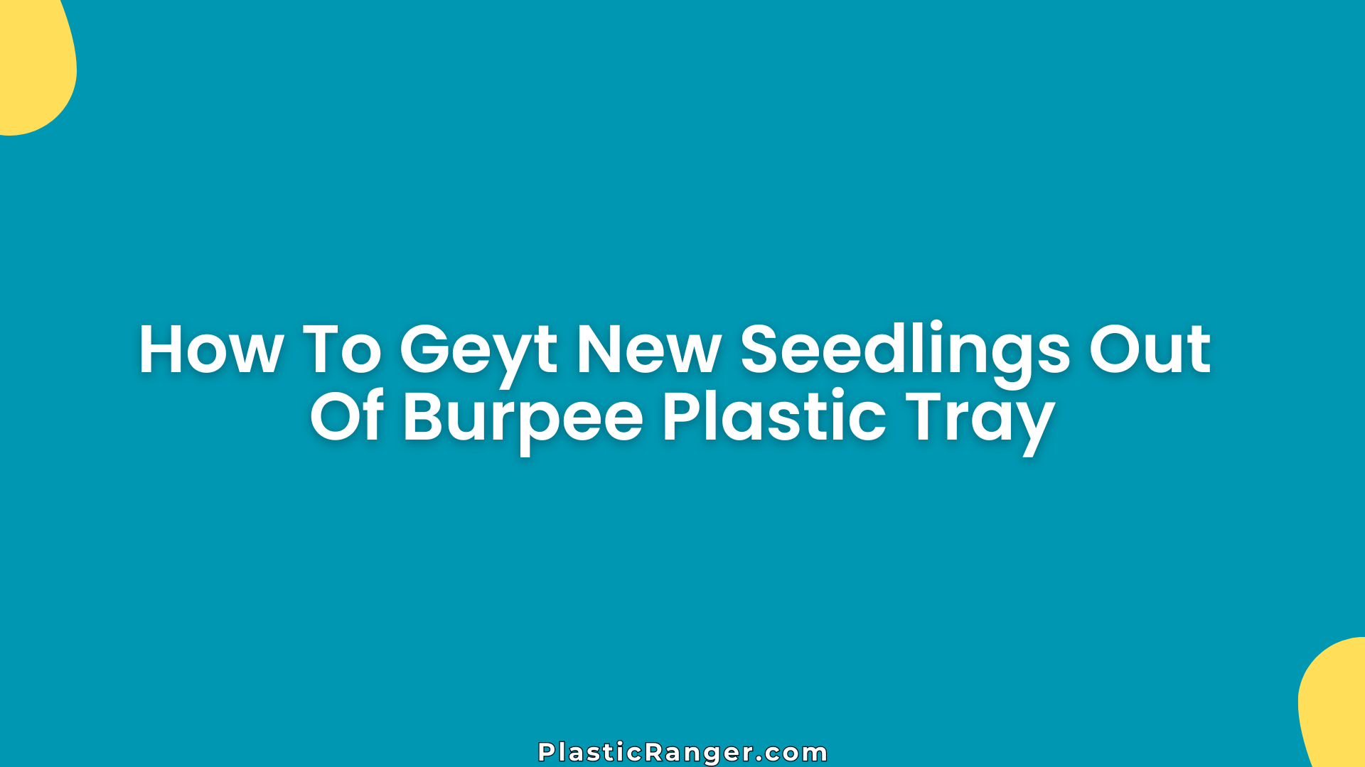 How To Geyt New Seedlings Out Of Burpee Plastic Tray