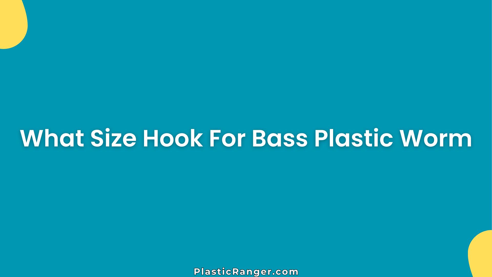 What Size Hook For Bass Plastic Worm