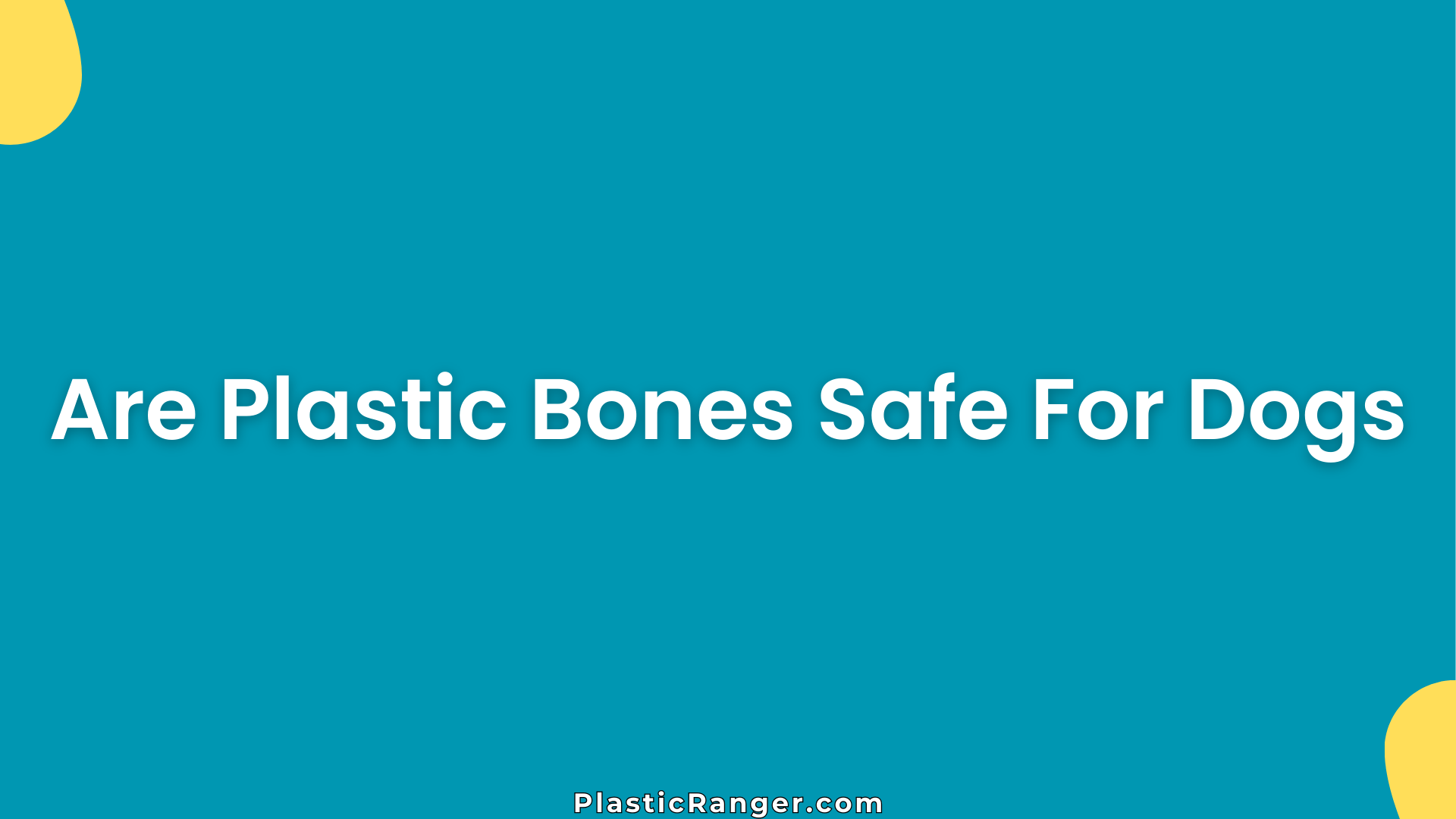 Are Plastic Bones Safe For Dogs