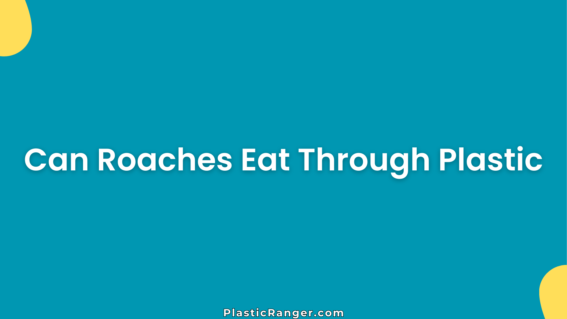 Can Roaches Eat Through Plastic