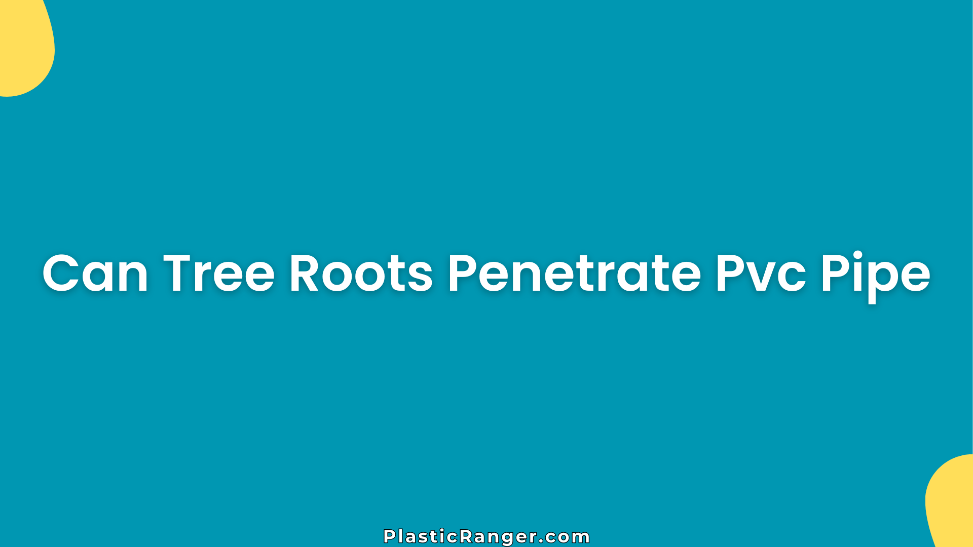 Can Tree Roots Penetrate Pvc Pipe
