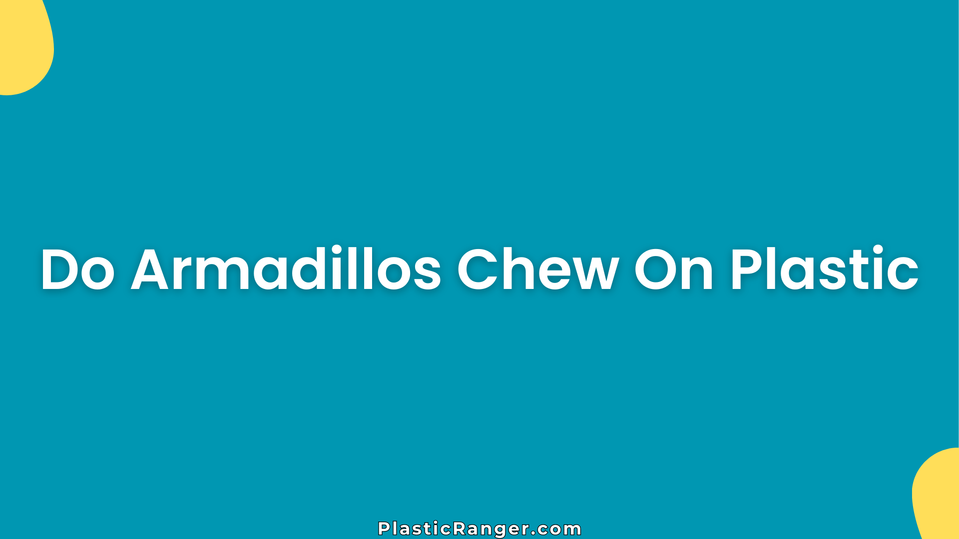 Do Armadillos Chew On Plastic