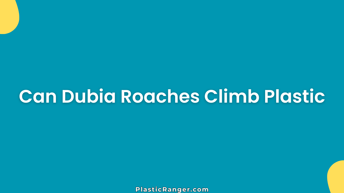 Can Dubia Roaches Climb Plastic