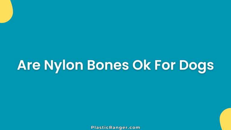 Are Nylon Bones Ok For Dogs