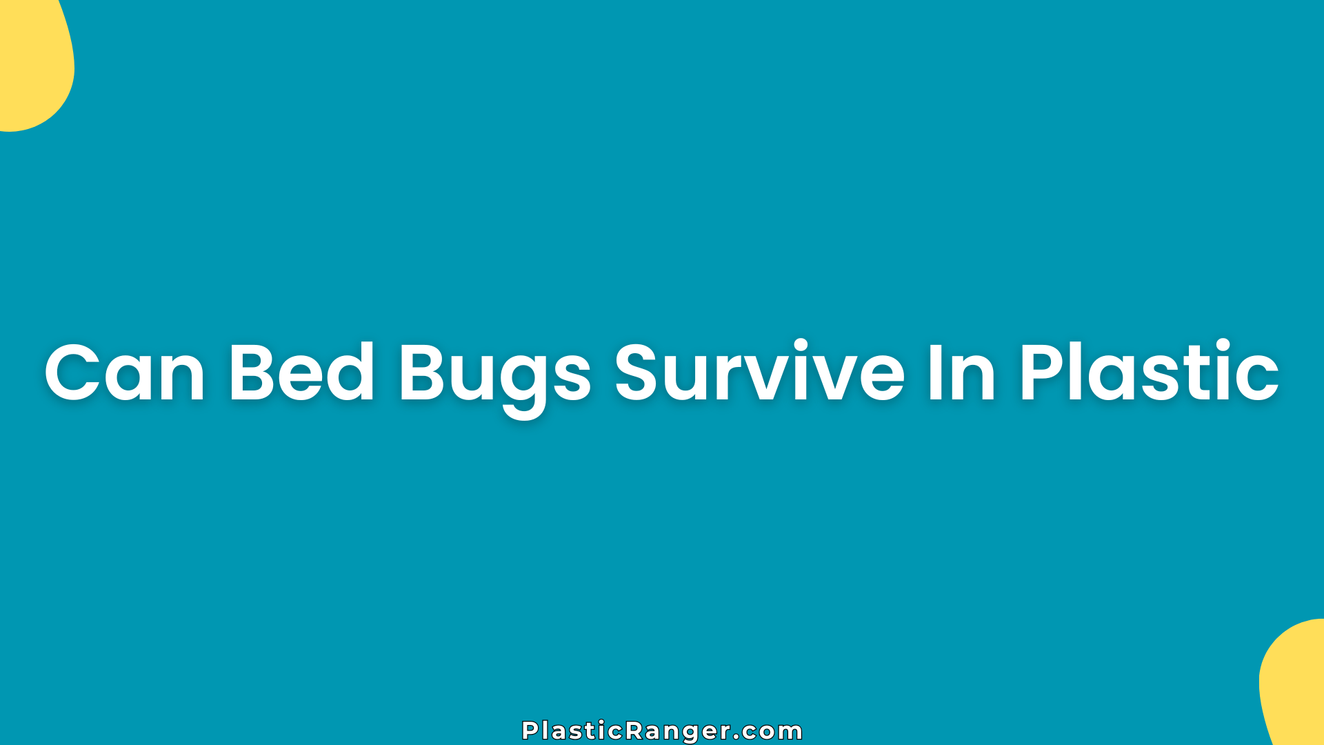 Can Bed Bugs Survive In Plastic