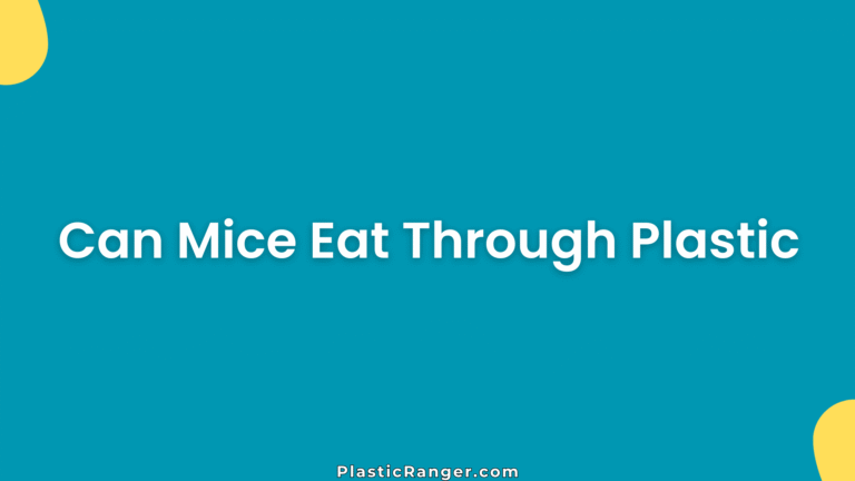 Can Mice Eat Through Plastic