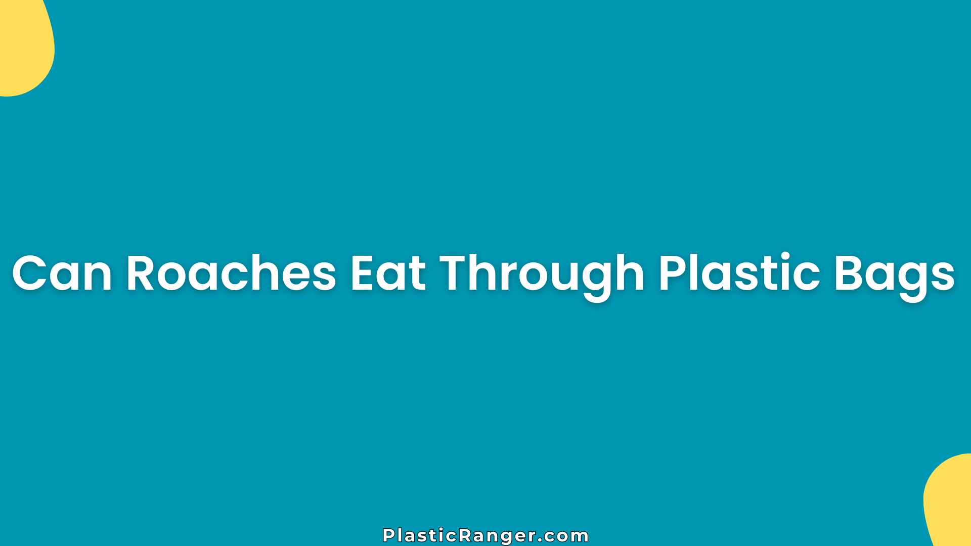 Can Roaches Eat Through Plastic Bags