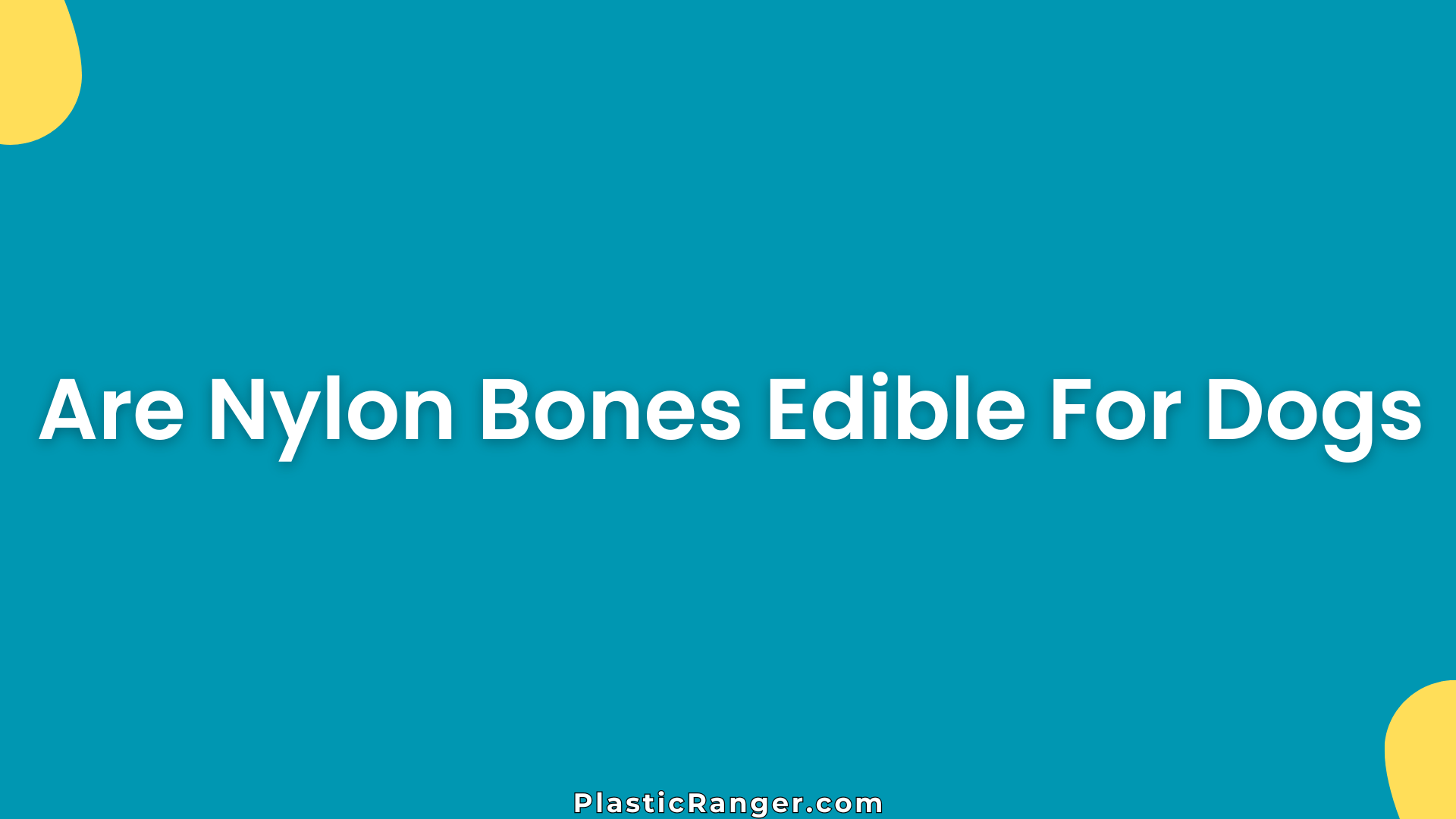 Are Nylon Bones Edible For Dogs? Safety, Risks & Vet Advice