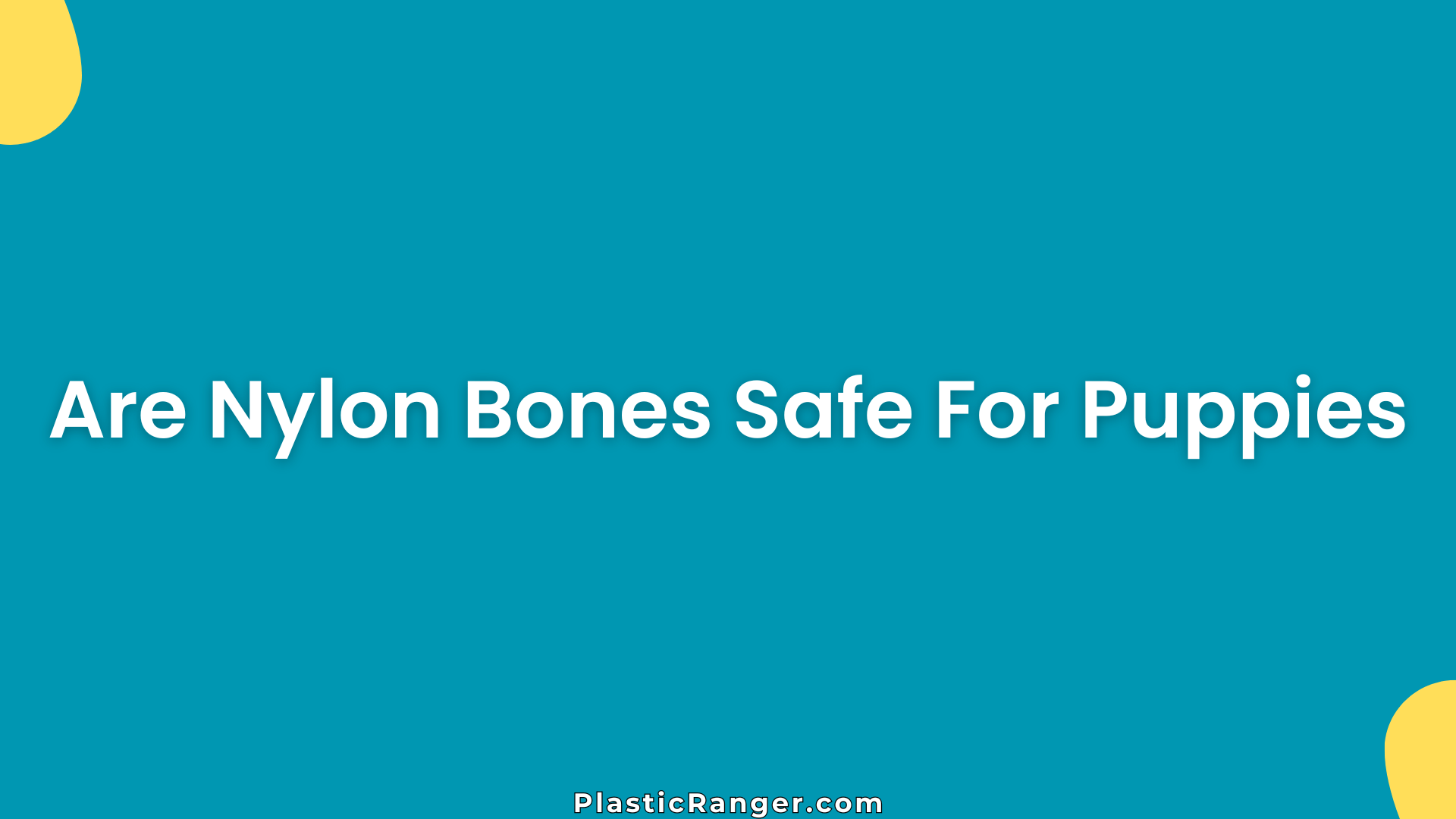 Are Nylon Bones Safe For Puppies