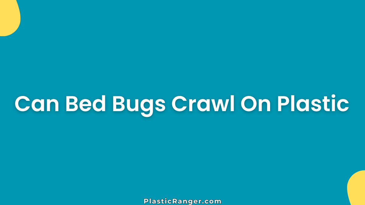 Can Bed Bugs Crawl On Plastic (Facts You Should Know)