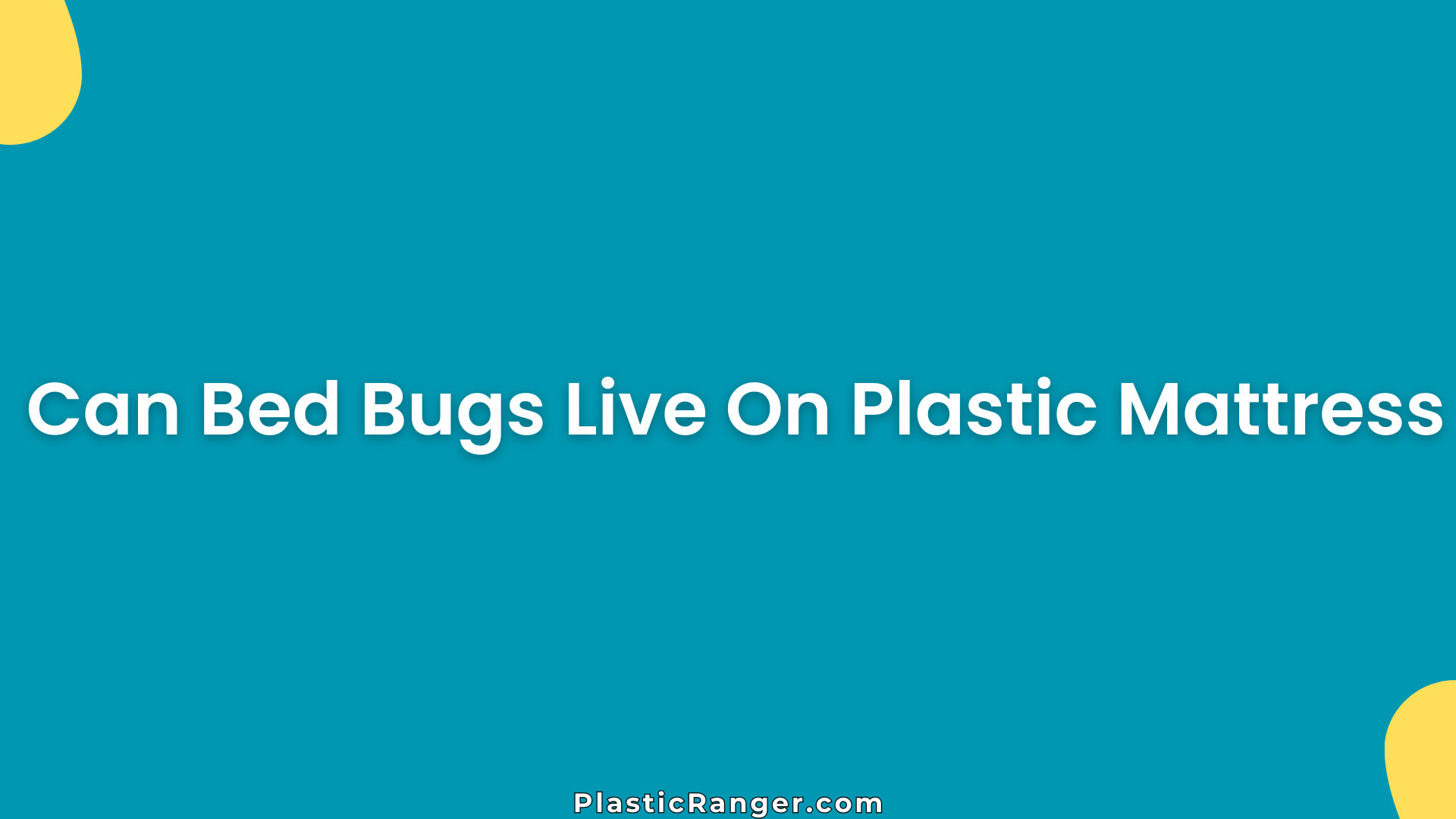 Can Bed Bugs Live On Plastic Mattress? Facts & Prevention Tips