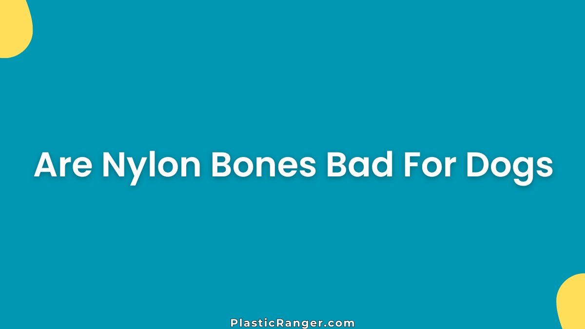 Are Nylon Bones Bad For Dogs