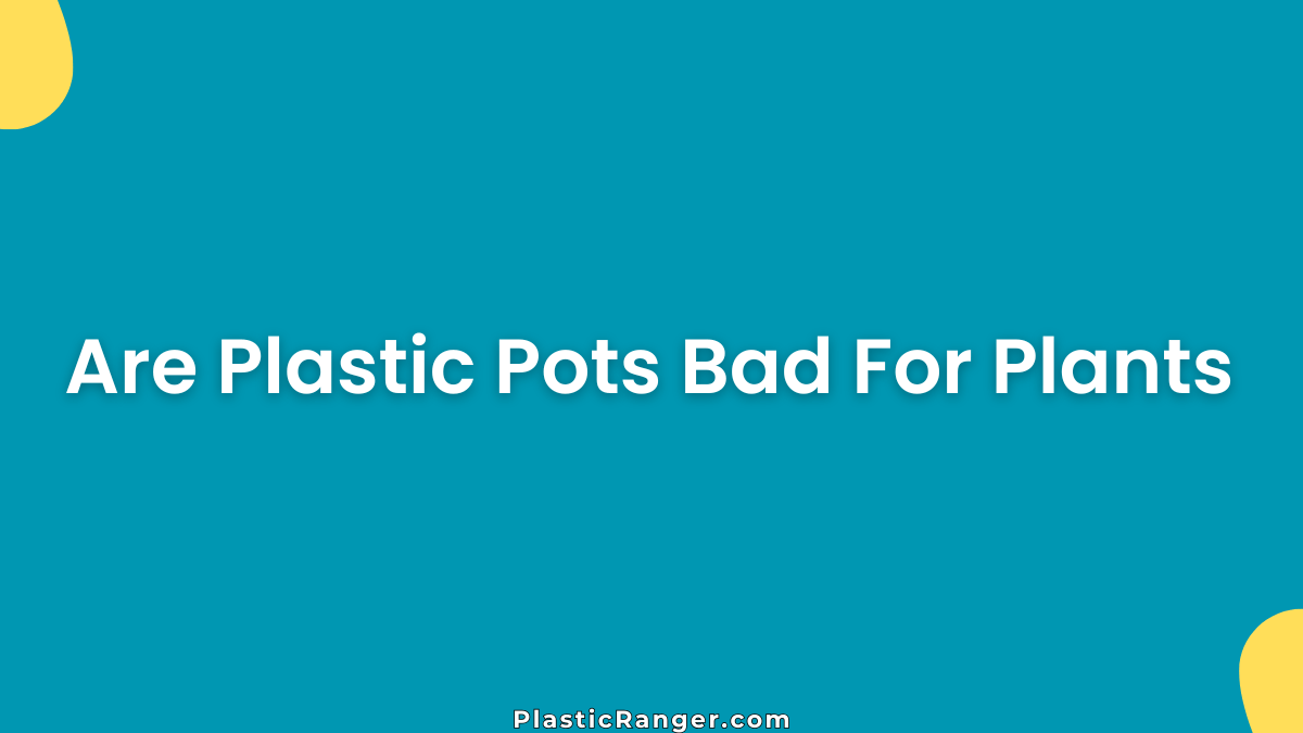 Are Plastic Pots Bad For Plants? Pros, Cons & Plant Health Explained