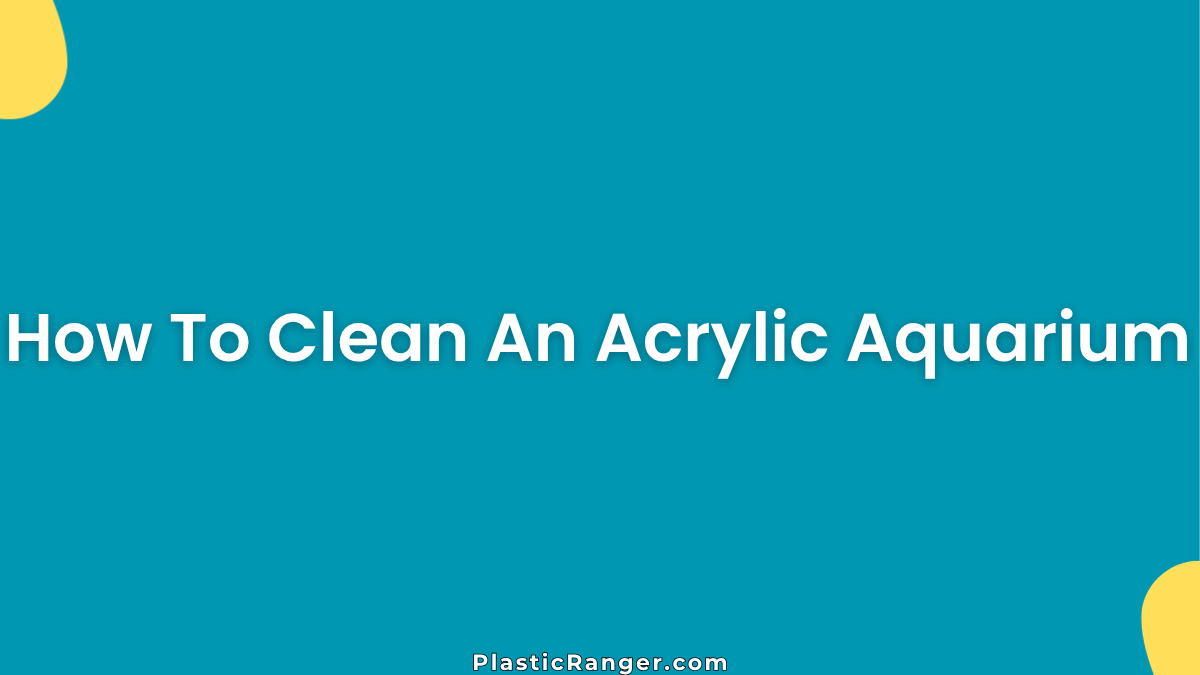 How To Clean An Acrylic Aquarium